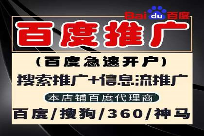 某某sem代运营公司助力企业实现线上营销目标